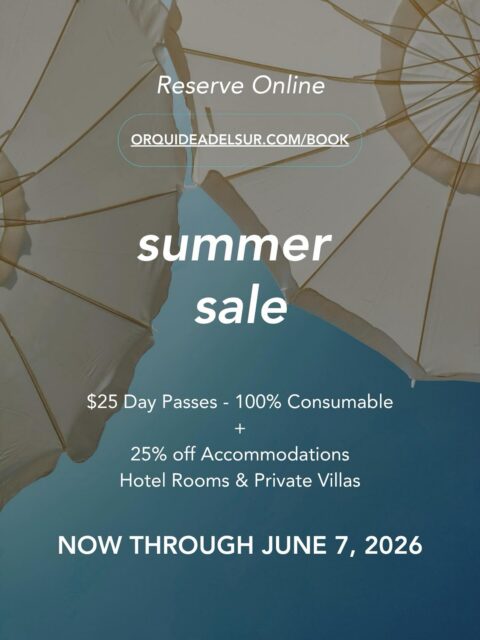 Luxury in the Wild is calling, and we’ve extended our invitation. ✨ Our Summer Sale continues with 25% off our boutique hotel rooms and private villas for an extra week—now through June 7, 2026.

And as an added bonus, we’re offering $25 Day Passes—100% consumable as a credit for poolside libations and open-air dining over the shores and sunsets of breathtaking Playa Yankee. 🍹🌊

Go ahead, now’s your chance to experience our cliffside haven at our lowest rates ever. Join us before these prices disappear.

🔗 Book now at orquideadelsur.com/book (Link in bio)
.
.
.

El lujo salvaje te llama y hemos extendido nuestra invitación. ✨ Nuestra Venta de Verano continúa con un 25% de descuento en nuestras habitaciones boutique y villas privadas por una semana más—ahora hasta el 7 de junio de 2026.

Y como beneficio adicional, estamos ofreciendo Pases del Día a solo $25—100% consumibles como crédito en coctelería junto a la piscina y cenas al aire libre frente a las costas y los atardeceres de la impresionante Playa Yankee. 🍹🌊

Date el gusto, esta es tu oportunidad de experimentar nuestro refugio en el acantilado con las tarifas más bajas de la historia. Acompáñanos antes de que estos precios desaparezcan.

🔗 Reserva ahora en orquideadelsur.com/book (Enlace en el perfil)

#NicaraguaTravel #BoutiqueHotel #PlayaYankee #HotelDeals #LuxuryInTheWild