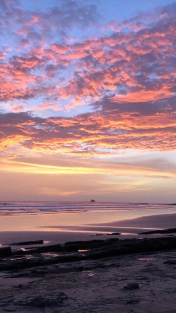 Two halves of the same day. Light rising, light softening.

Here, time isn’t something to chase. It moves gently, from first glow to last color, holding the same calm throughout.

In between, time unfolds in harmony with your unhurried pace. Warm coffee being poured. Quiet dips in the pool. Ocean breezes holding moments of presence on your private terrace.

The rhythm of your stay slowly aligns with nature itself.

Book Direct: https://orquideadelsur.com/book/

Luxury In The Wild 

#SlowLuxuryLiving #NatureLedWellbeing #LuxuryInTheWild #OrquideaDelSur #VisitNicaragua